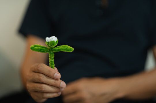 Person Holding Plush Green and White Plant Toy with Vivid Leaves in Hand
