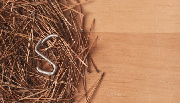 Fallen Pine Needles on Floor After Christmas