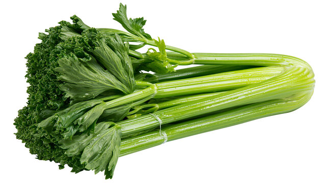 Fresh green celery stalks with leafy tops