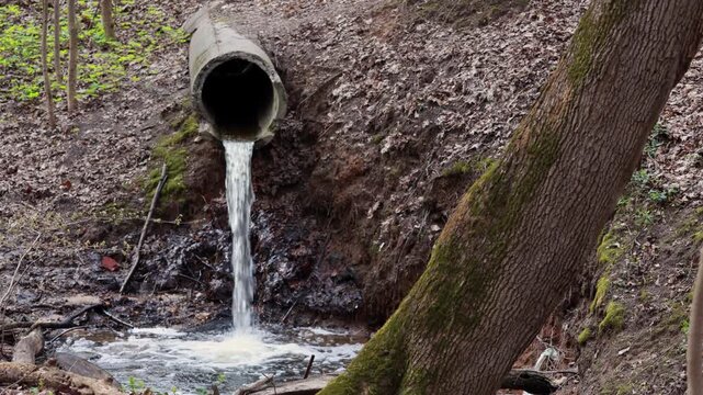 Water pouring from concrete drain pipe into muddy forest stream