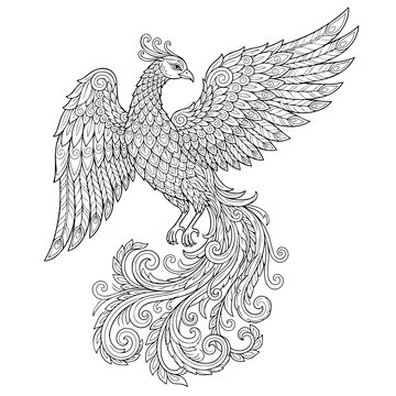 Detailed line of a mythical phoenix bird with spread wings and ornate swirling tail feathers on a clean white background