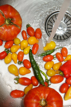 Fresh Homegrown Tomatoes Being Washed Under Running Water in Kitchen Sink, Healthy Food Preparation