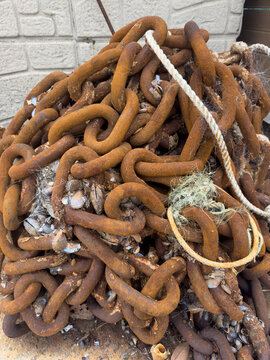 A large pile of heavily rusted anchor chain encrusted with mussels and sea debris, lying on a concrete surface near a stone wall at a harbor.