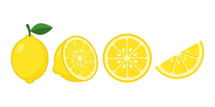 Fresh yellow lemon collection with whole half slice and wedge vector illustration
