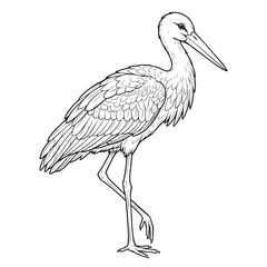 A graceful stork standing on one leg, detailed black and white line for children coloring book page on white background