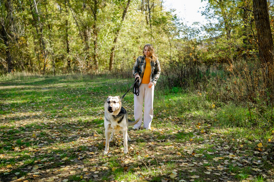 Woman standing with large shepherd dog on leash in autumn park. Outdoor recreation and friendship between human and animal.
