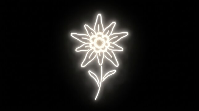 A glowing neon sign of an edelweiss flower isolated on a solid black background for alpine themes