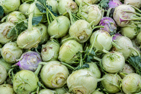 Fresh Kohlrabi