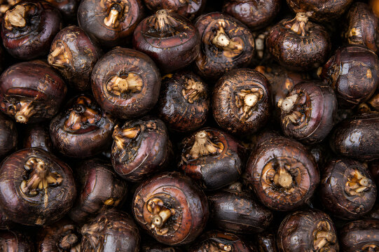 Water Chestnuts