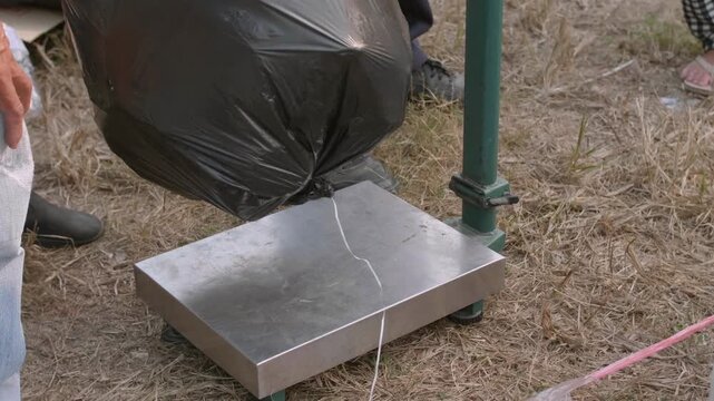 Close up of people weighing scrap metal wire and a black garbage bag on an outdoor digital scale for recycling in Bangkok Thailand