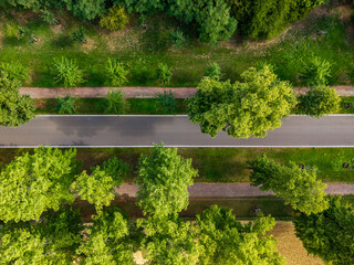 Obraz premium Top-down drone view shows curved asphalt road through green parkland, framed by mature trees, lawns and trimmed hedges. Summer scene highlights clean geometry, lush vegetation and quiet urban nature