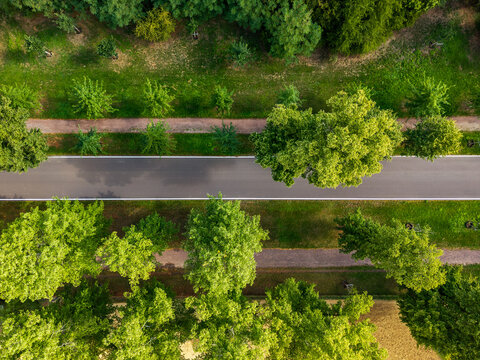 Top-down drone view shows curved asphalt road through green parkland, framed by mature trees, lawns and trimmed hedges. Summer scene highlights clean geometry, lush vegetation and quiet urban nature