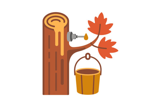 Maple syrup production process showing wooden tap and bucket on log for traditional forest harvesting and natural sweetener manufacturing educational illustrations.