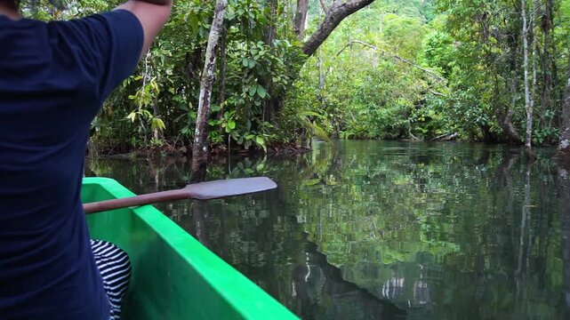 Tourists kayaking through pristine forests, supporting sustainable travel, conservation, and community tourism