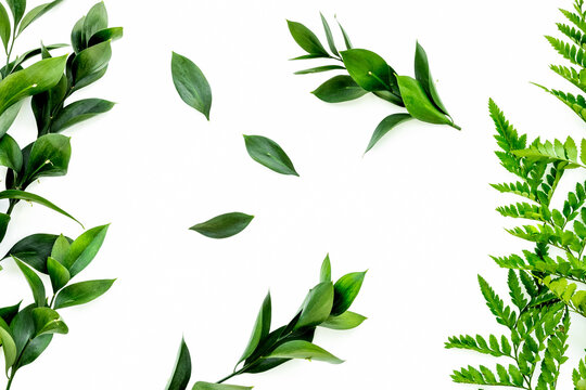 Spring background with young green plants and leaves on white background top view