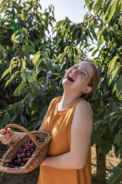 Laughing girl holds a basket of fresh cherries in the summer orchard