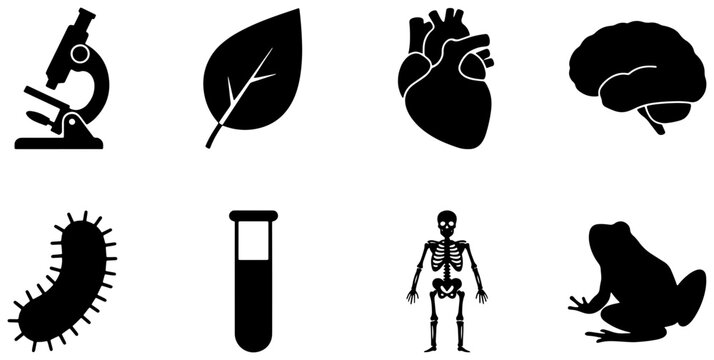 Science Icons Set: Microscope, Leaf, Heart, Brain, Bacteria, Test Tube, Skeleton, Frog Vector Graphics for Biology and Medical Concepts