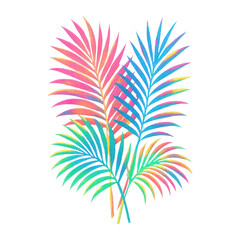 Fototapeta premium PNG Vibrant tropical palm leaves illustration.