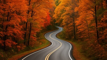 Obraz premium Winding road through autumn forest desktop wallpaper