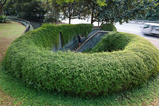 Lush tropical greenery surrounding a pedestrian stairway and landscaped roadside in Singapore, tourist take photo along steps, vehicle passing on road, Fort Canning Park, Spiral staircase photo spot