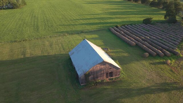 Aerial Top-Down View of Old Wooden Barn and Rows of Hay Bales in Farm Field A high-angle aerial view looking directly down at a classic wooden barn with a metal roof centered in a bright green pasture