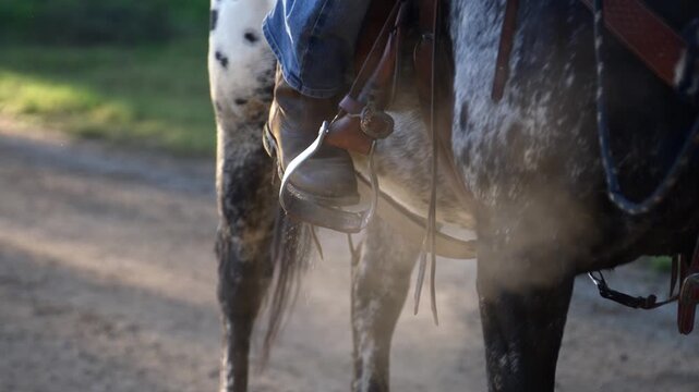 Dismounting Horse | Close Up | Slow motion | Cinematic