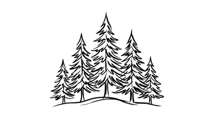Obraz premium Hand-drawn evergreen forest illustration