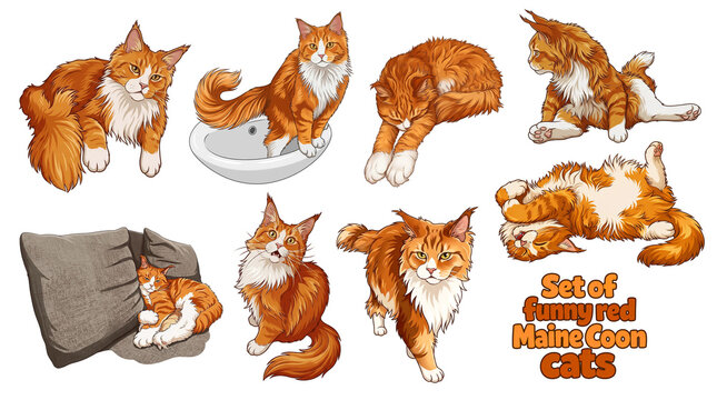 Funny cartoon red ginger Maine Coon cats with different emotions in various poses on a transparent background. Cute fluffy characters illustrations for stickers, planners, clipart and digital design.