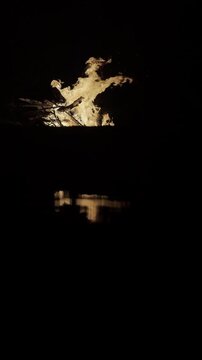 Close up of burning wood logs in a night campfire, vertical format