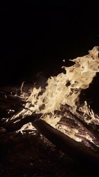 Night camping aesthetics: bonfire burning brightly in the dark