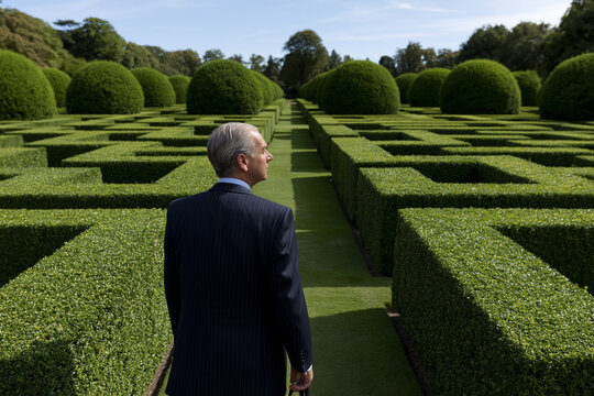 Man in garden maze on sunny day
