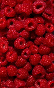 Fresh red raspberries in full frame forming dense texture. Sweet summer berry agriculture harvest concept.