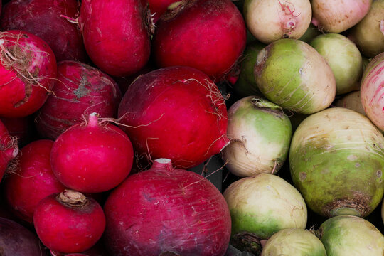 red and white radishes
