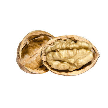 Food photography template - whole cracked organic walnuts with walnut shell,  isolated on transparent or white background png