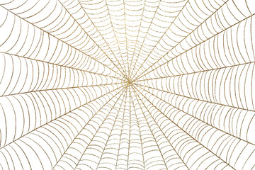 Fototapeta premium spiderweb halloween gold background transparent