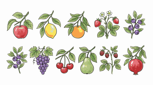 Vintage watercolor fruit illustrations set, hand drawn botanical garden fruits on branches, 10 organic food vector icons