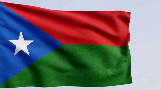 Balochistan flag