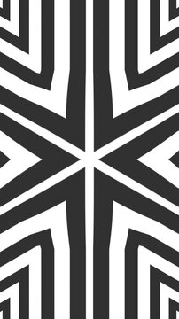 Vertical Video Bold Black White Hexagon Star Geometric Minimal Abstract Motion Loop