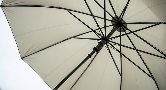 Close-up of white umbrella ribs.