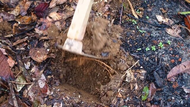 Close-up of a hoe digging into the earth to prepare soil for planting in a garden
