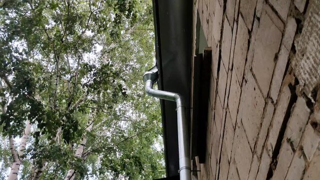 Rainwater flows down a metal drainpipe from a black roof of an old brick building. Green birch trees sway in the strong wind during a rainy summer day. Weather and outdoor concept.