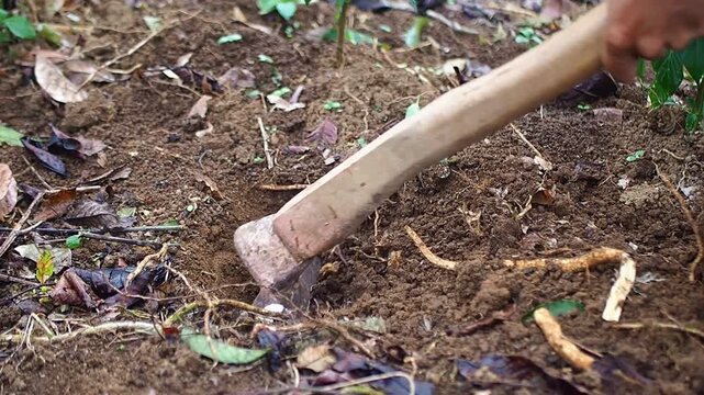 Close-up of a hand using a traditional hoe to dig a hole in fertile brown soil, preparing the ground for planting or gardening.