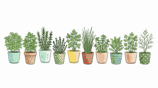 Hand-drawn culinary herbs in colorful ceramic pots, 10 botanical vector illustrations, potted garden herb collection for kitchen decor