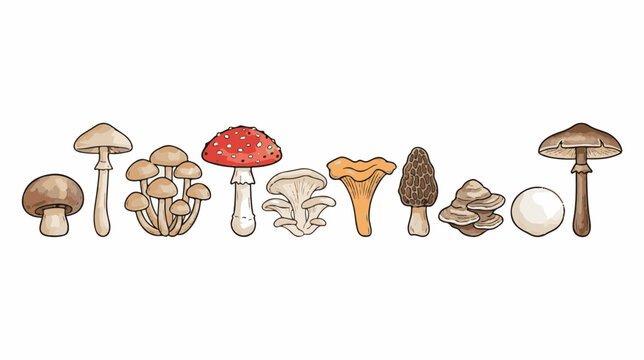 Vintage botanical mushroom collection, hand drawn edible and poisonous fungi set, 10 forest mushroom vector illustrations