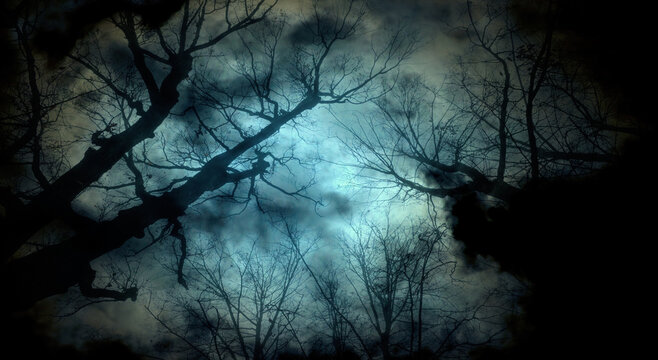 Night mysterious gothic landscape with Halloween atmosphere - bare forest trees branches extending to the sinister midnight sky and dramatic clouds, spooky nature background