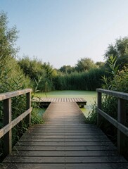 Obraz premium Wooden pier extends over murky green water surrounded by lush reeds and trees under clear sky. A tranquil nature path invites peaceful exploration in this calm outdoor setting.