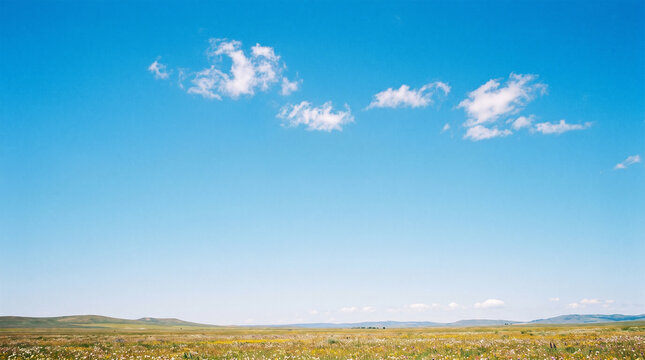 Vast green steppe meadow under bright blue sky serves as serene natural background.