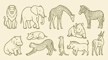 Fototapeta premium Vintage safari animal illustrations, hand drawn wild african animals set, 11 line art zoo animal vectors for educational posters