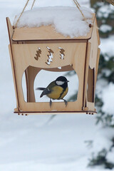 Blue tit perched on a wooden bird feeder covered with snow. Wild birds, blue tit in winter ,feeding birds, fauna, wildlife protection. © Mariana