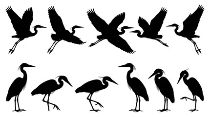 Naklejka premium Elegant heron and stork bird silhouettes in various poses
